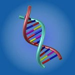 人類跑步 v1.0.10