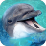 海洋動物模擬器 v1.6